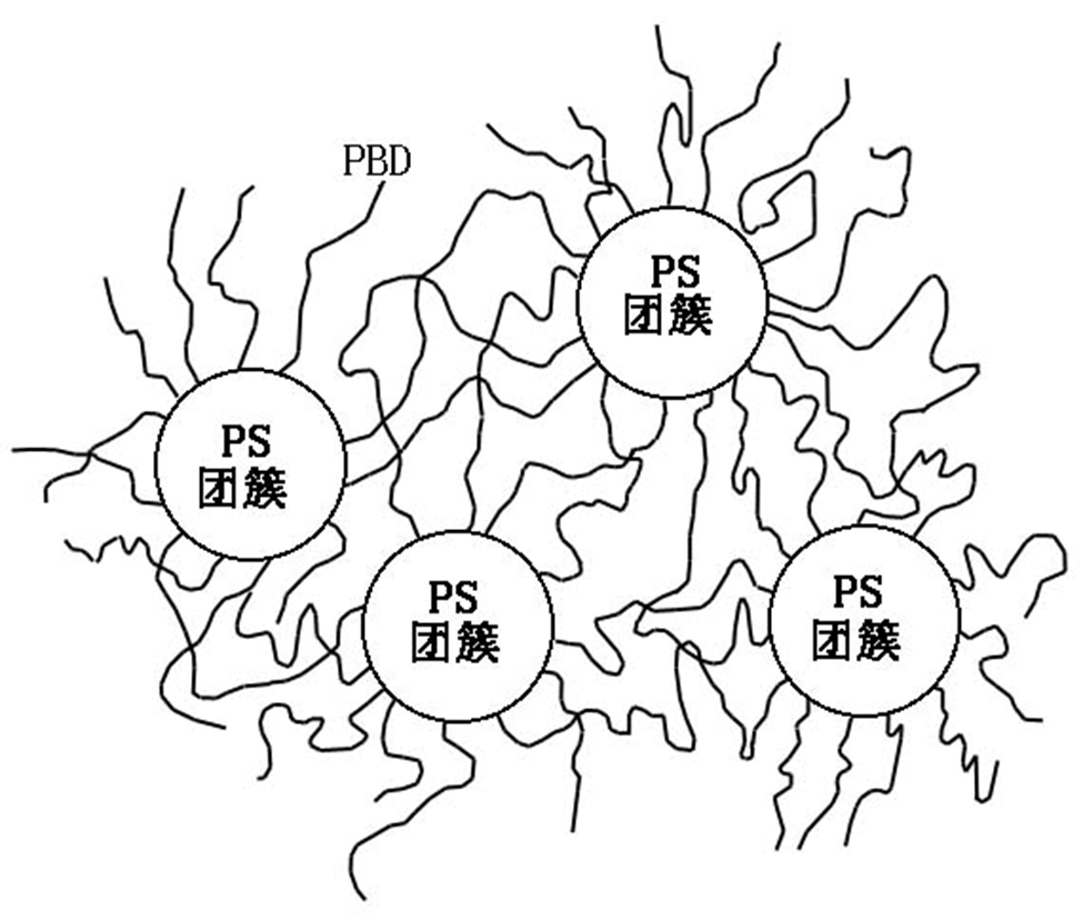 PS团簇和PBD橡胶分子链进行物理交联